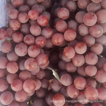 red globe grapes red grape seeded fresh grape for fruit